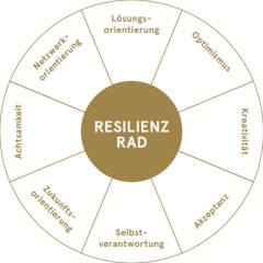 resilienzrad