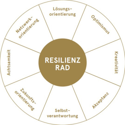 resilienzrad